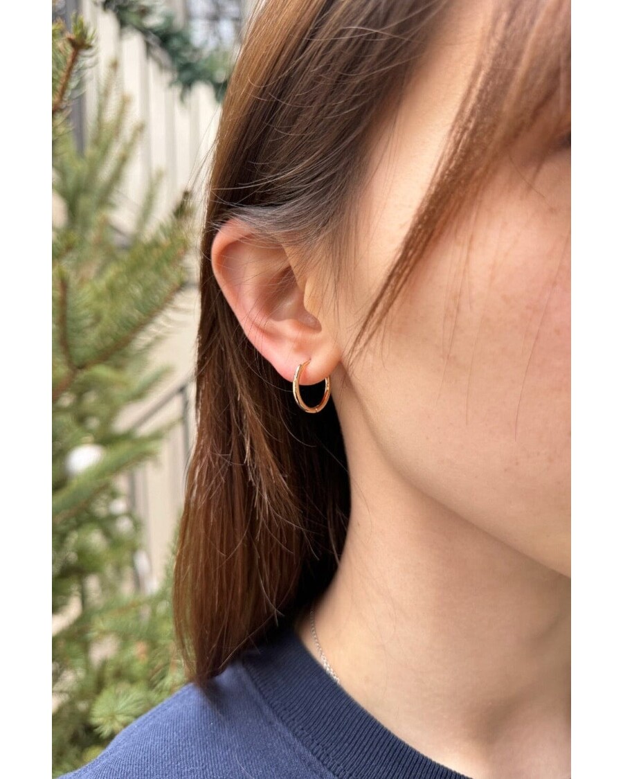 Brandy Melville Hoop Earrings