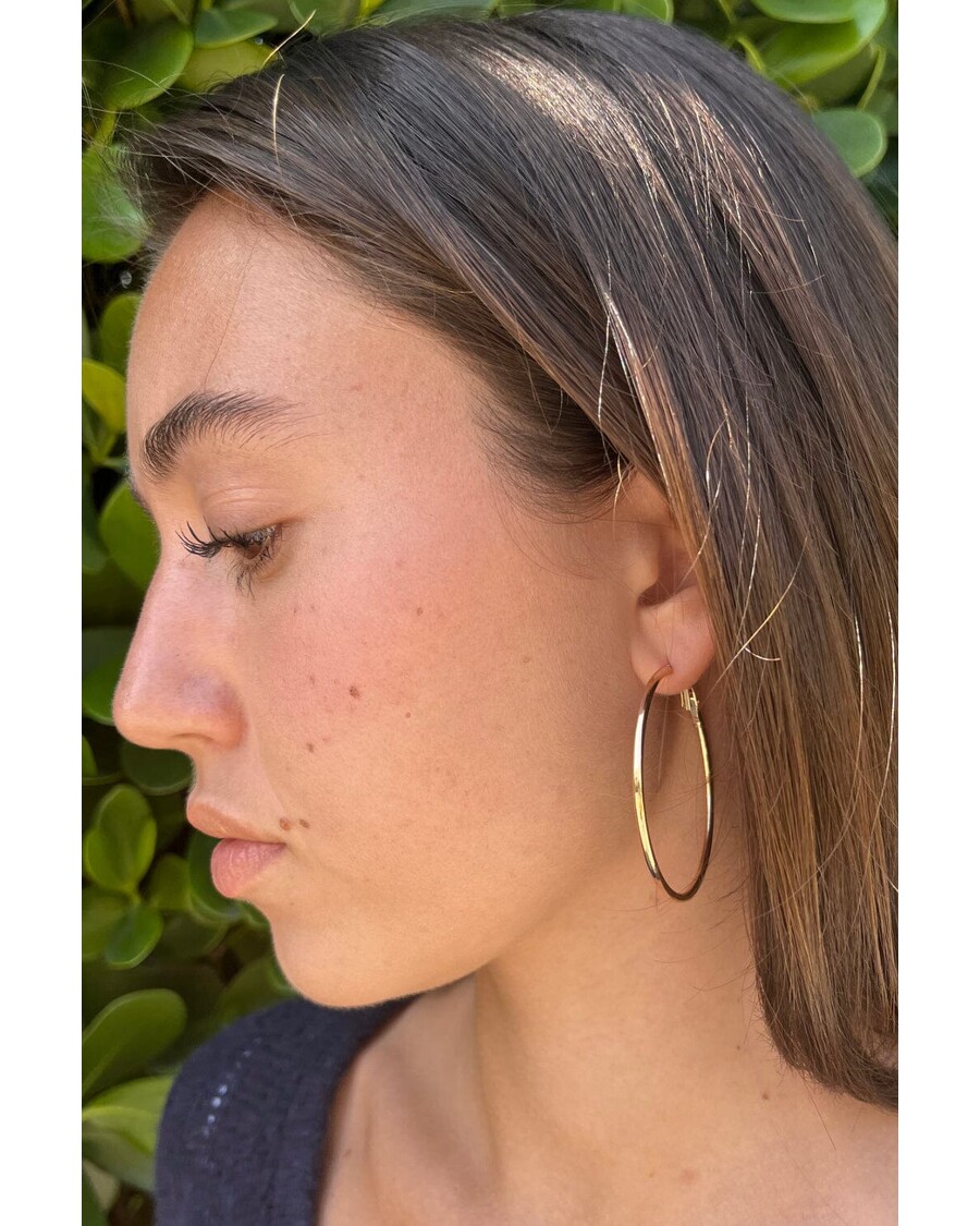 Brandy Melville Hoop Earrings