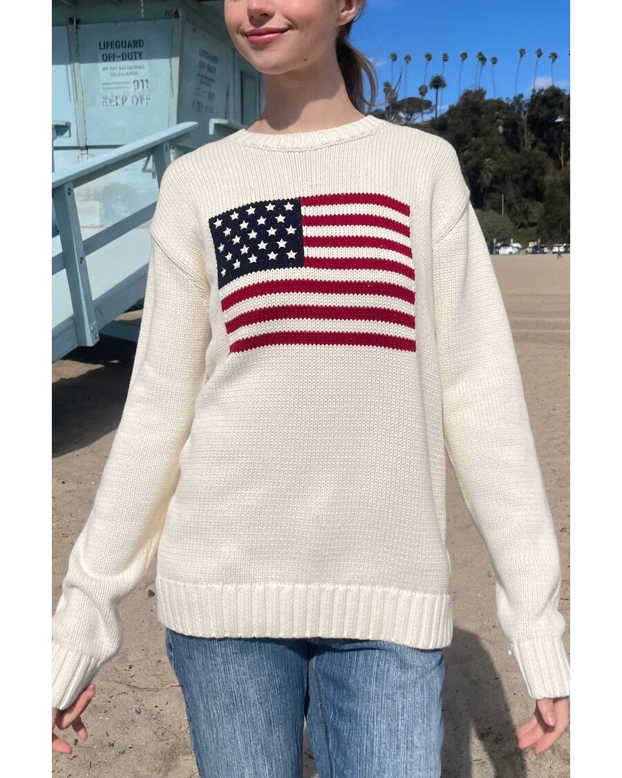 Brandy Melville Nico American Flag Sweater