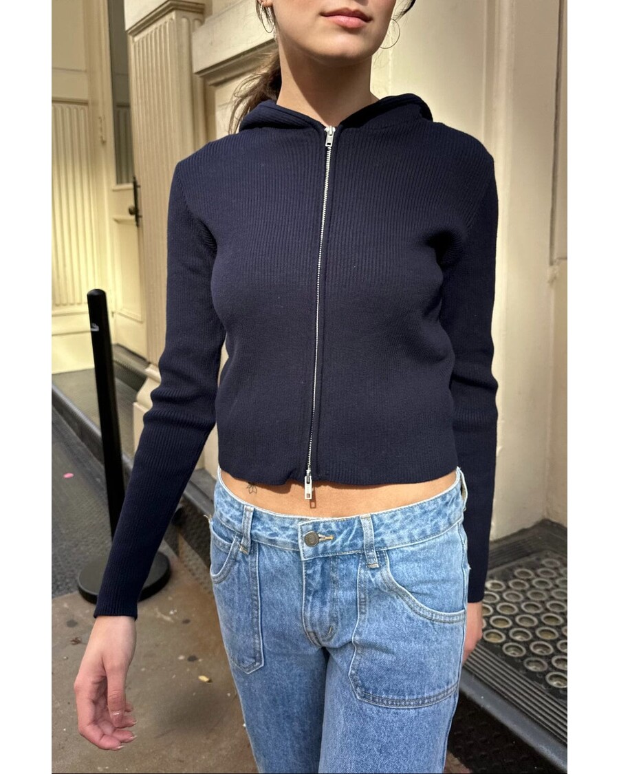 Brandy Melville Arden Crop Hoodie