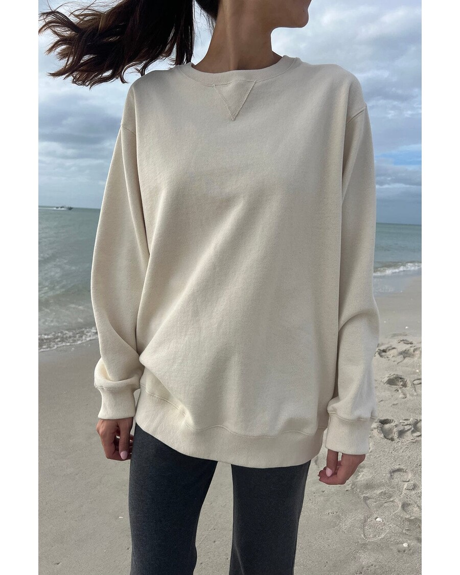 Brandy Melville Erica Sweatshirt