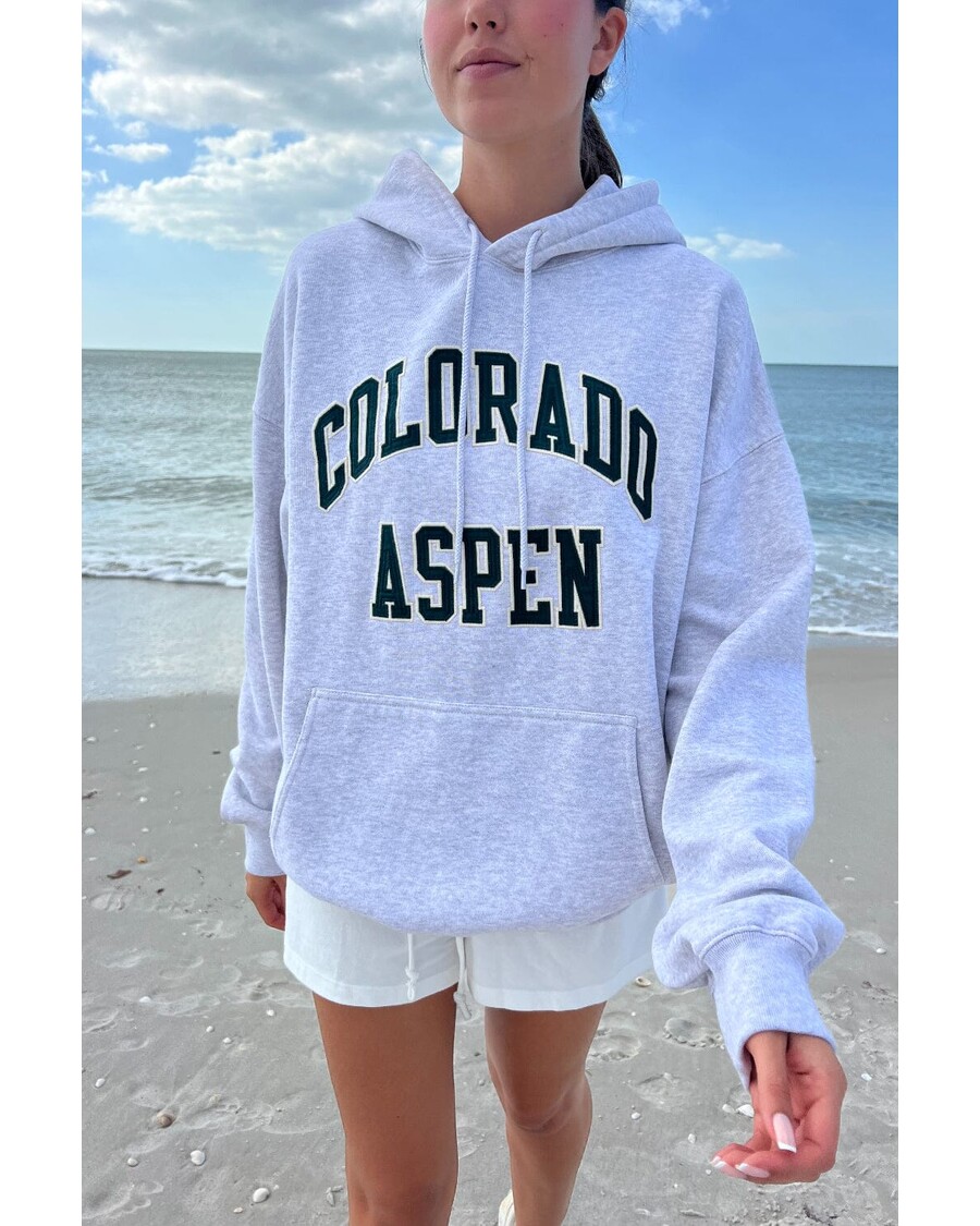 Brandy Melville Chicago Colorado Aspen Hoodie